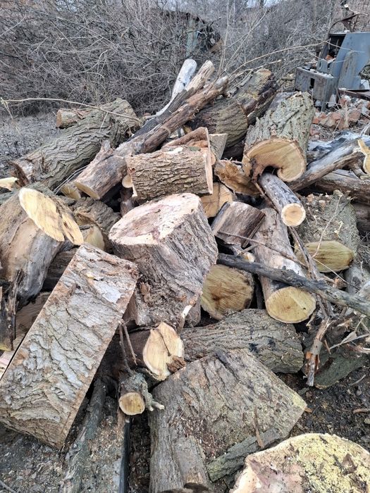Продам дрова твердих порід