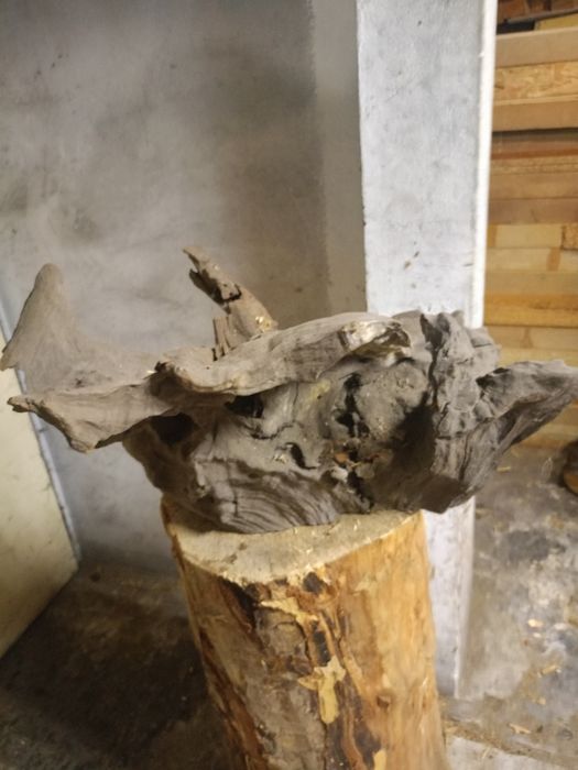 Akwarium 500 litrów