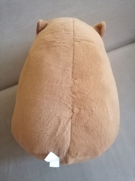 Duża maskotka/Duży pluszak kapibara