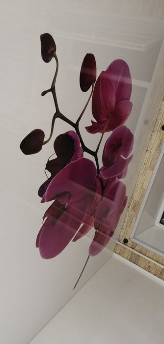 Натяжні стелі! Якість! Гарантія! Натяжные потолки! Від 280гр/м2