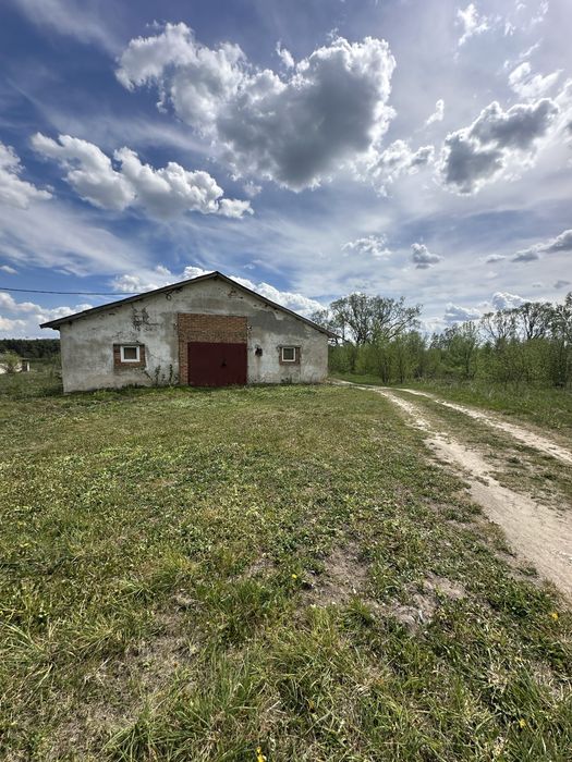 Продається Приміщення вільного призначення с. Залізці