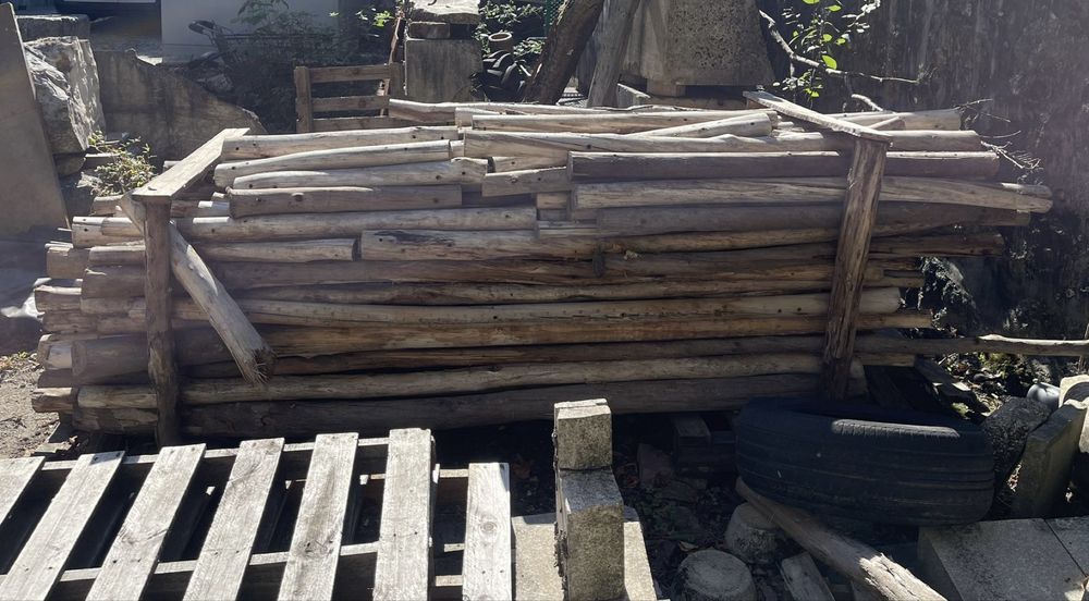 lote de paus de eucalipto usados