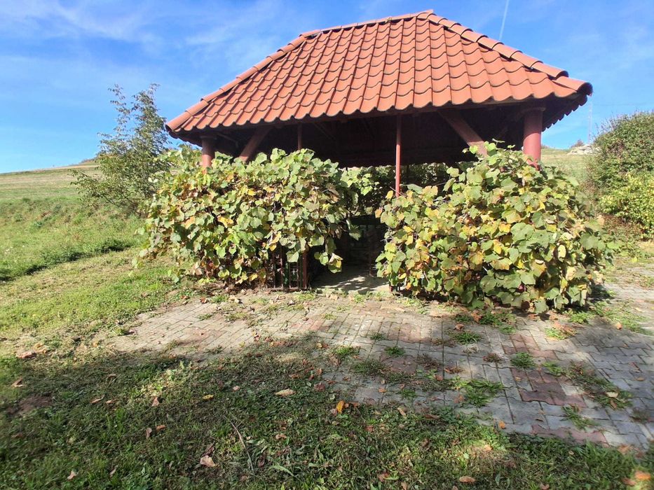 Dom – Sienna - Widok 3