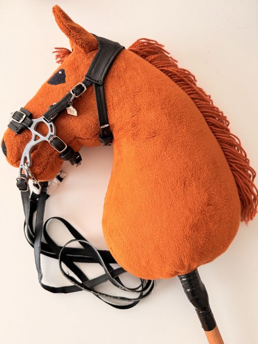 Hobby horse format A4 + akcesoria