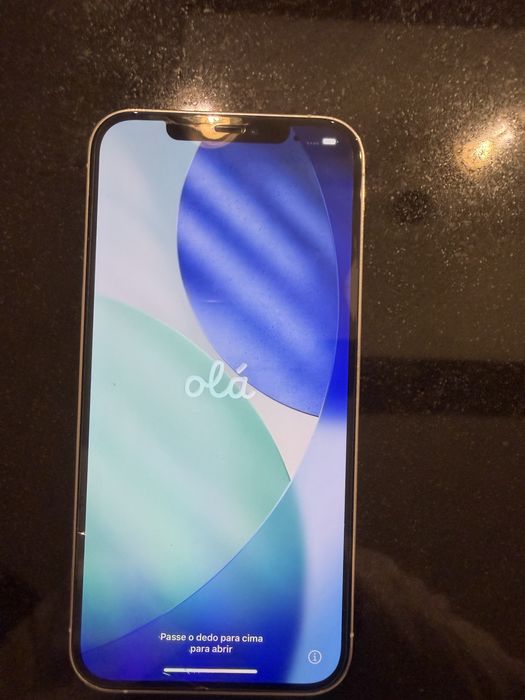 Iphone 12 Pro Max 256Gb