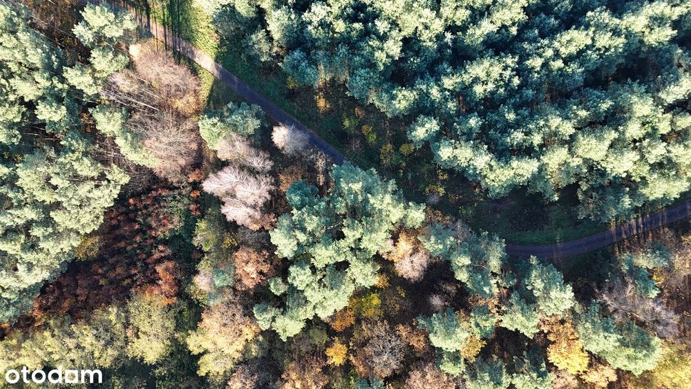 Działki w lesie na sprzedaż, okolice Wrocławia-idealna inwestycja!