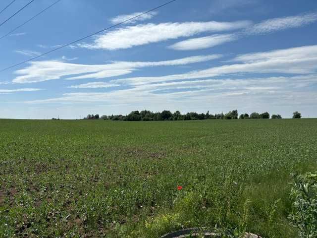 działki budowlane koło Kętrzyna / Pręgowo 50 arów z WZ - Więcej