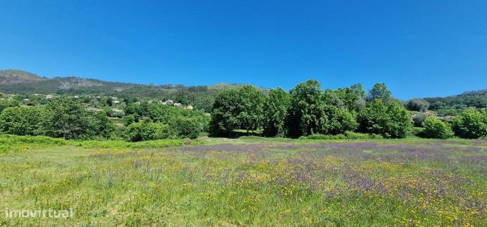 Lote p/ construção - Cantelães