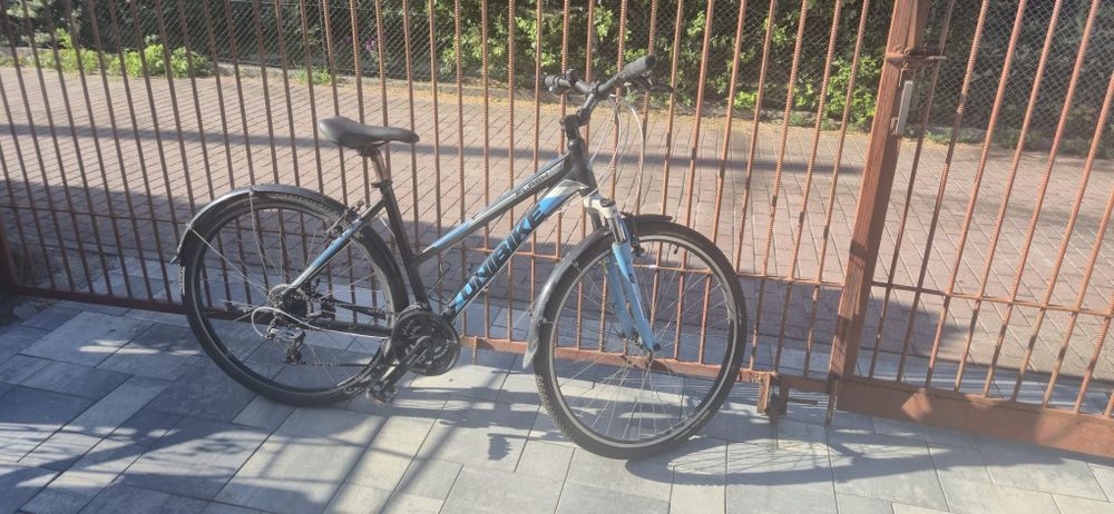 Rower Unibike flash