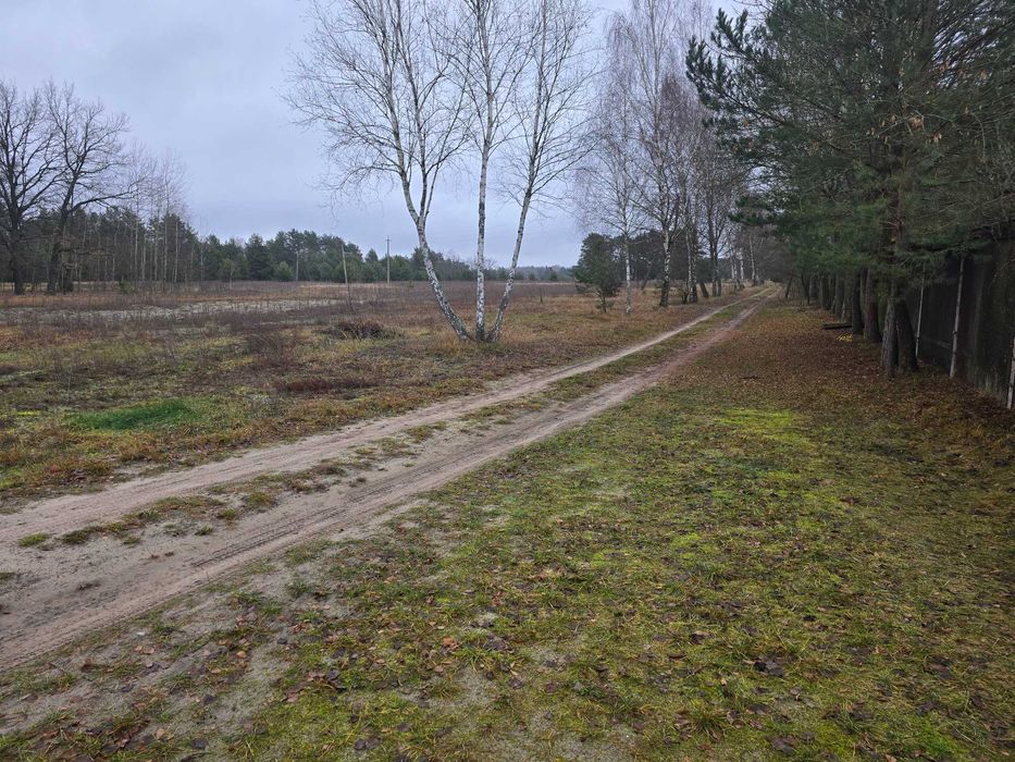 Земельна ділянка на озері Світязь