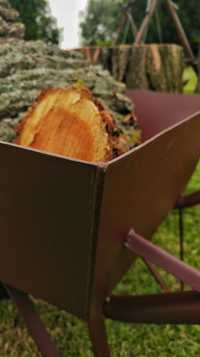 SOLIDNA Taczka ogrodowo - budowlana.