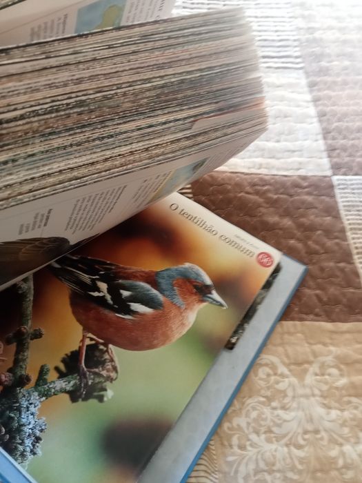 Fascinate mundo animal