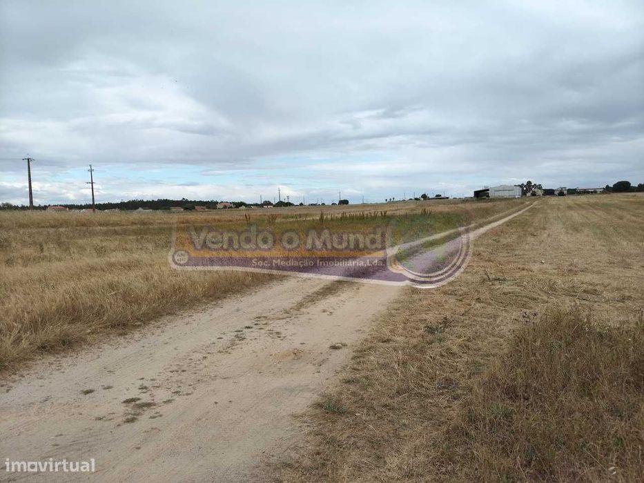 Terreno na Barrosa (BARR012) — Barrosa, Santarém