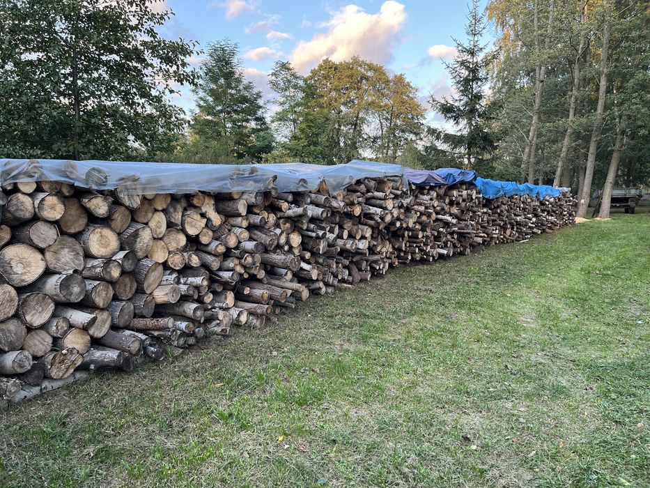Sprzedam drewno opałowe - liściaste