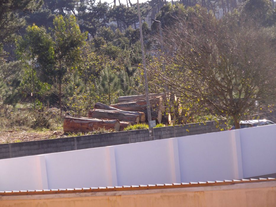 Camera digital Pentax Optio VS20