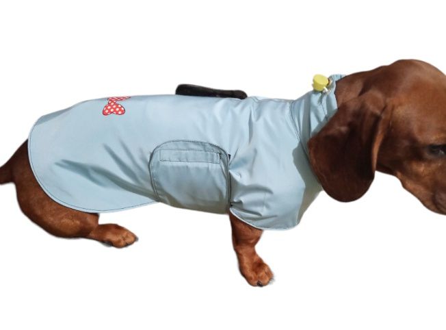 дождевик для собаки
