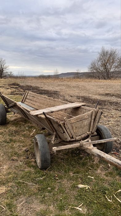 Віз , для коня , не дорого