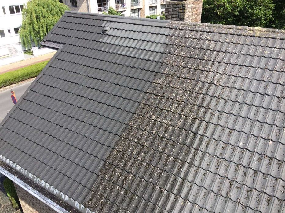 Malowanie, Dachu, Dachów, Mycie, Ogrodzenia, Hale, Rynny, Komin, Płoty