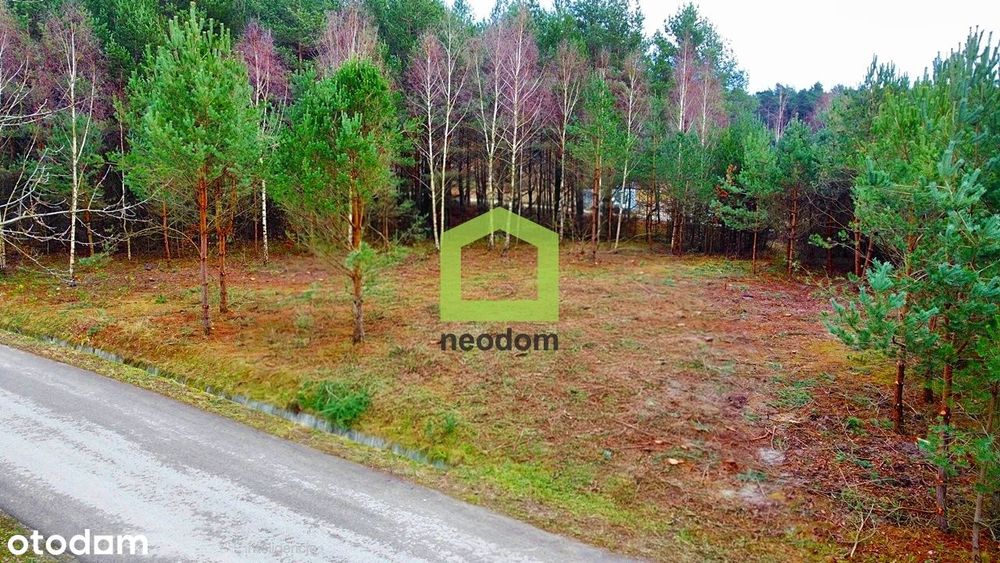 Działka budowlana | Radlin | Ogrodzenie