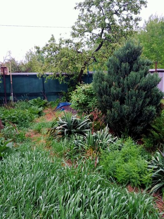 Будинок за адресою вул. Богдана Хмельницького (площа 274,5 м²) - Atlanta.ua - фото 16