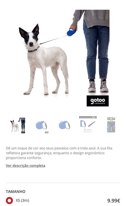 Conjunto para cão