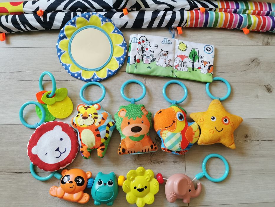 Mata edukacyjna Lionelo Anika Plus