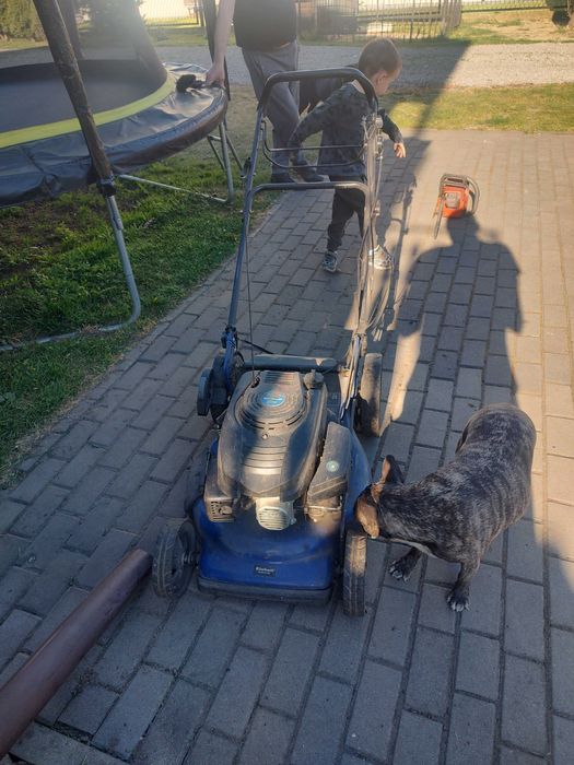 Kosiarka spalinowa Einhell