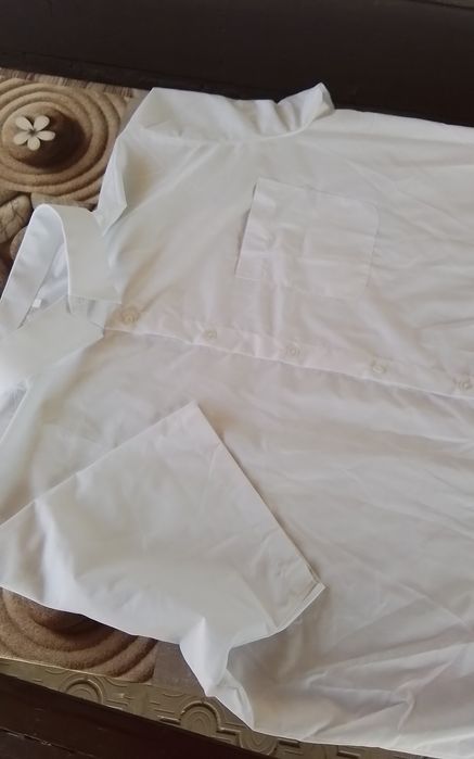 Чоловіча біла шведка