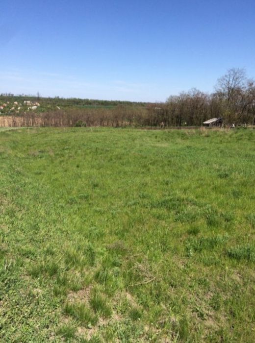 Продам участок земли, 25 соток (0,25 га)