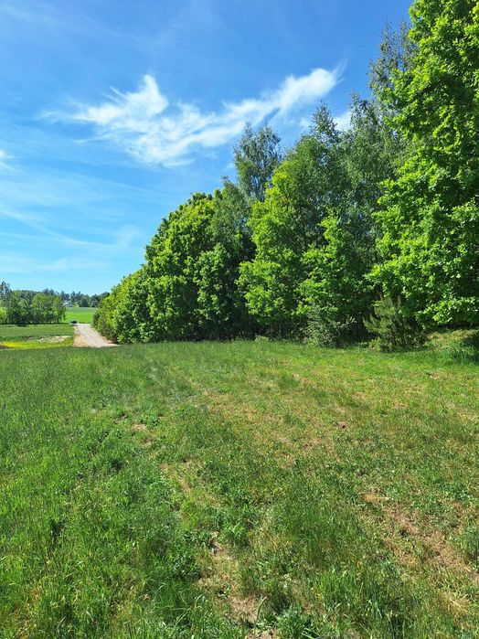 Działki budowlane Warzno z Warunkami Zabudowy