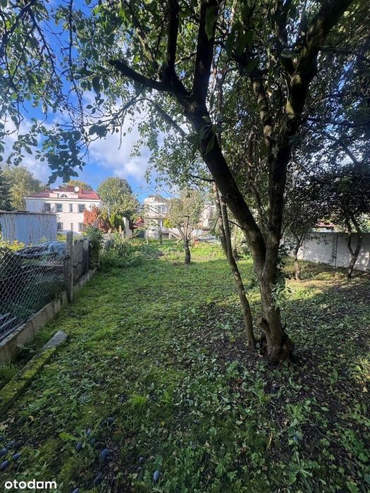Dom – Gniezno - Widok 4