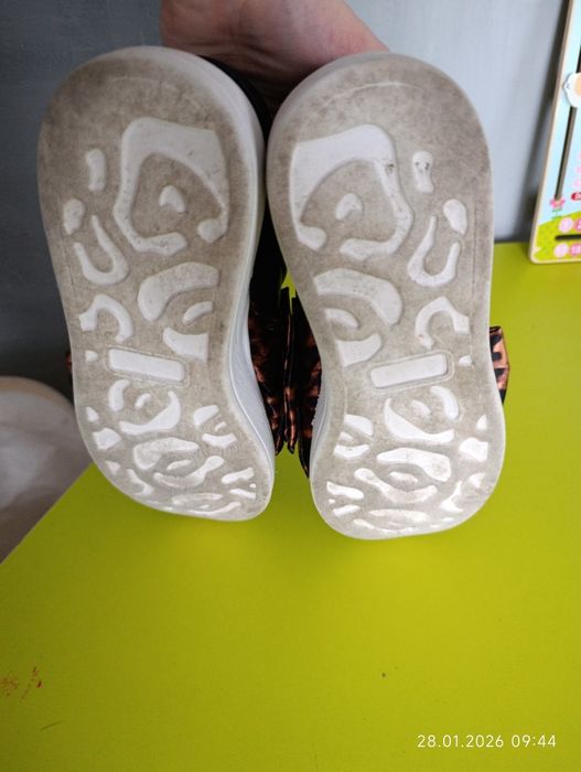 Сліпони з бантом