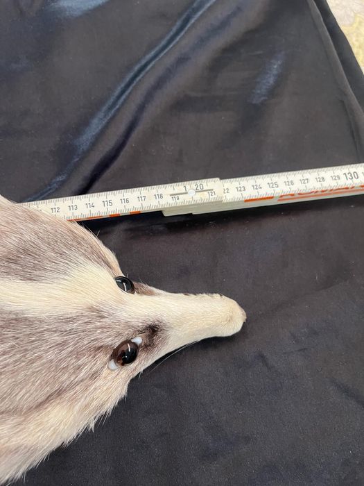 Cachecol estola de pêlo de raposa com cabeça