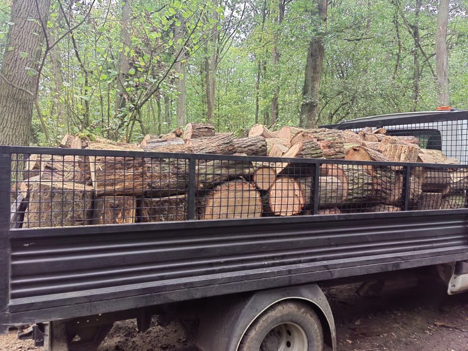 Drewno kominkowe i opałowe transport gratis