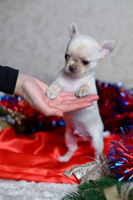 Некоторые встречи меняют жизнь навсегда.