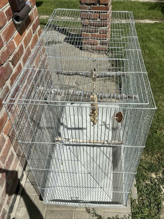 Klatka dla Gryzoni Papug XXL 100x100x55 cm