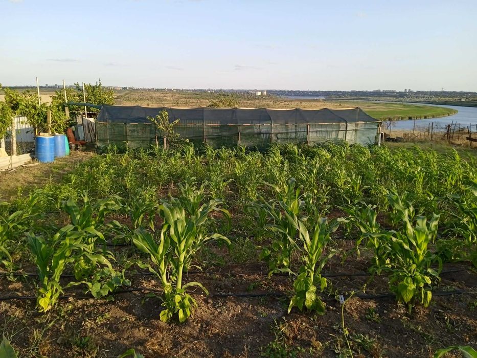 Продам участок 10 соток.  Собственник!