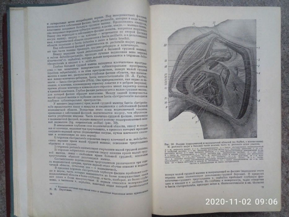 Курс оперативной хирургии и топографической анатомии (1963 г)