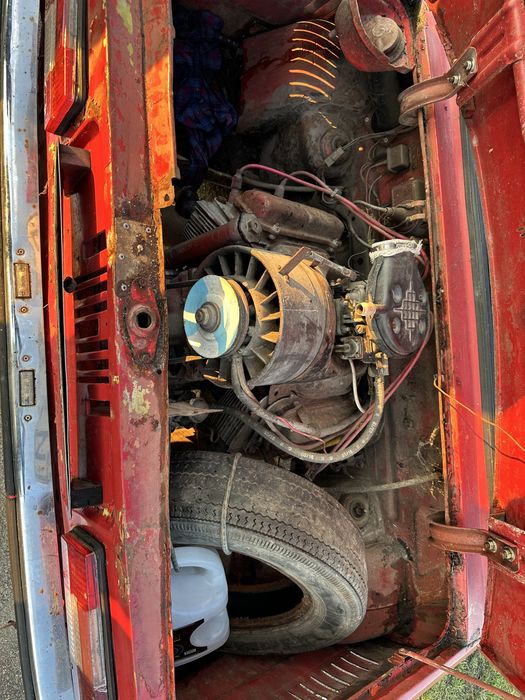 Продам зазіка легенду