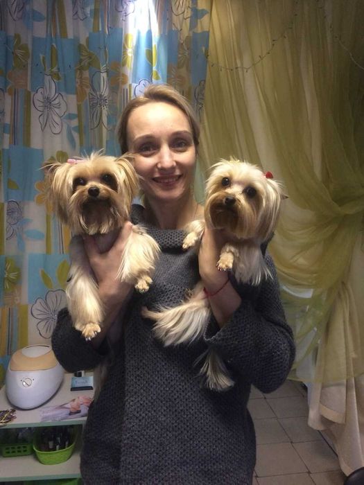 Салон стрижек для собак & котів, на старій "Дзержинці"