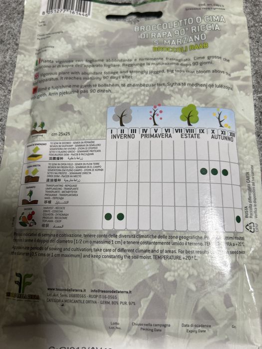 Семена капусты брокколи (Италия)  100 грамм Эксклюзив