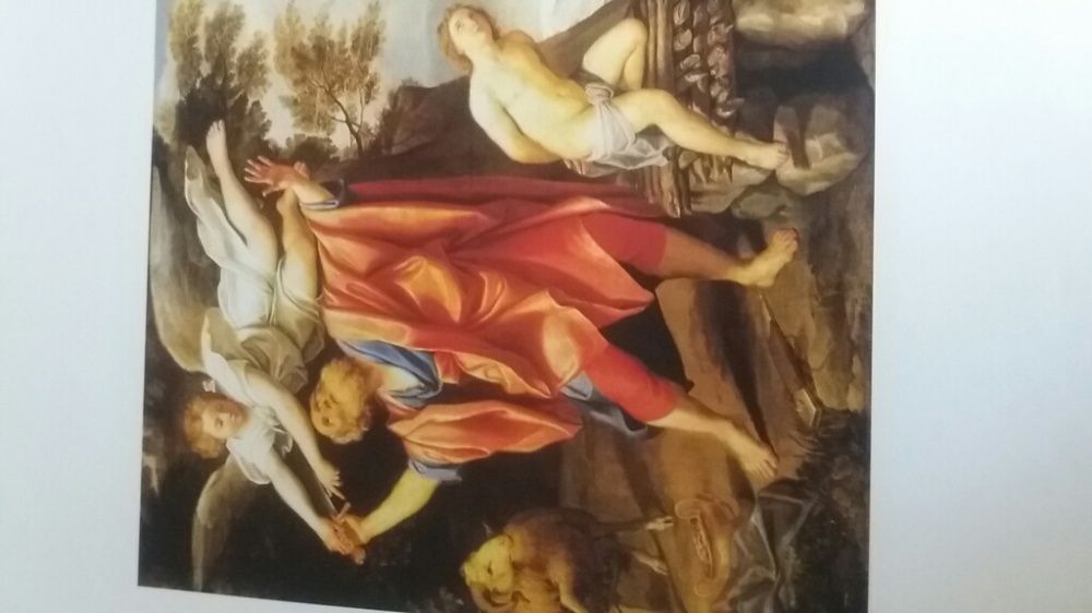 Coleção guerras e religiões