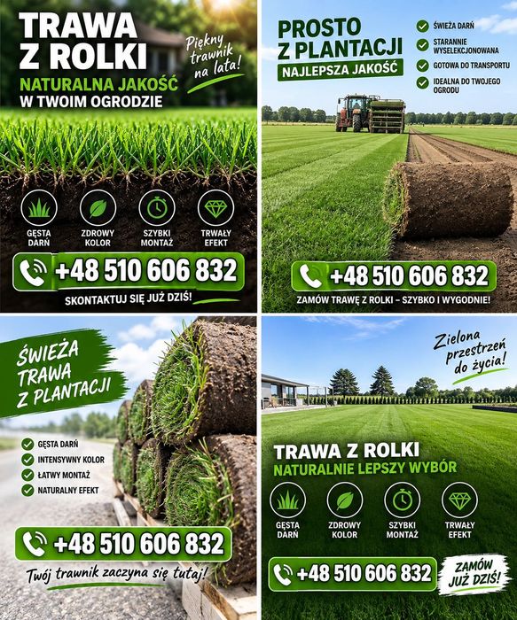 Trawnik Premium-Producent-Doradzamy