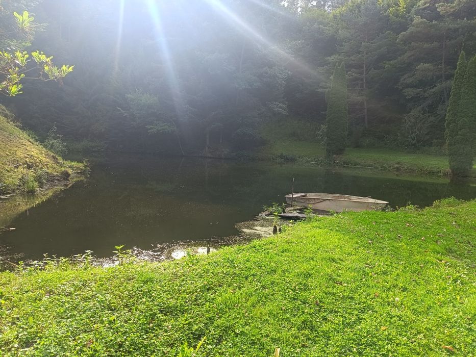 Rekreacja, noclegi, domek letniskowy, leśne zacisze, nad stawem.