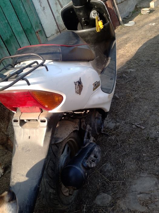 Продам хонда діо 34