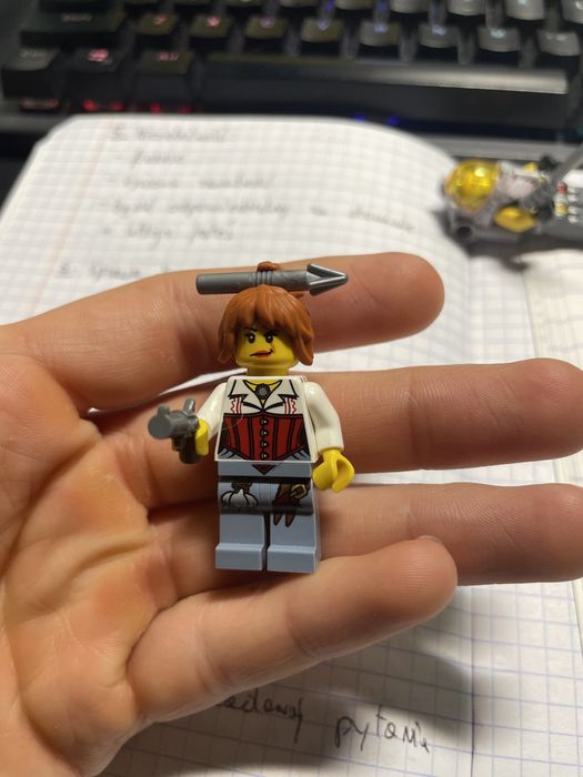 Lego monster fighters Ann Lee