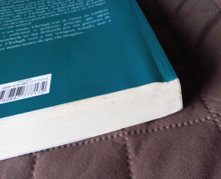 O Herdeiro de Sevenwaters - Juliet Marillier