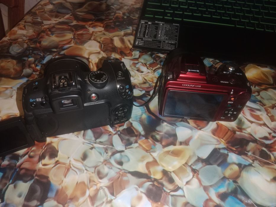 Фотоапарати  Nikon та Canon