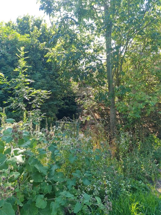 Dom – Witkowice, powiat stalowowolski - Więcej