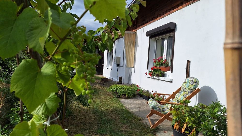 Dom na skraju małej wsi, Lasy Stobrawskie, totalna cisza!